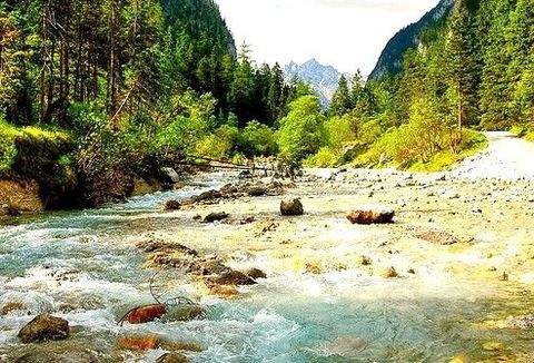 Neureichenau Wohnungen, Neureichenau Wohnung kaufen