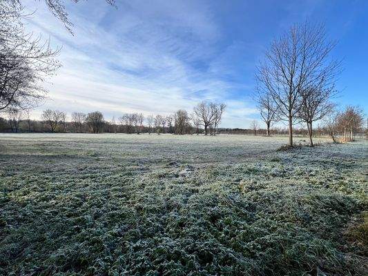 Umfeld_Am Blütenanger_Pferdekoppel