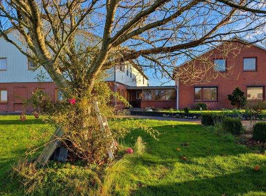 Ost-Ansicht - überdachte und windgeschützte Terrasse