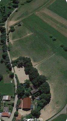 489402387_9722313141192906_8552364549330854636_n.j