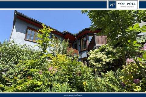 Zorge Häuser, Zorge Haus kaufen