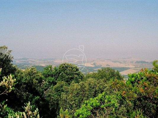 Luxus Anwesen | Rapolano Terme