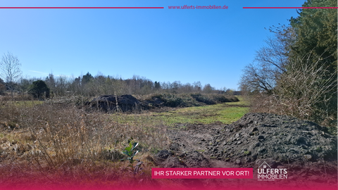 Moormerland Bauernhöfe, Landwirtschaft, Moormerland Forstwirtschaft