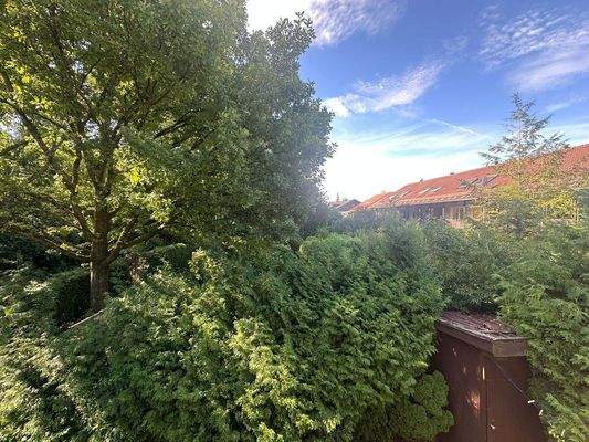 Blick vom Bestandshaus