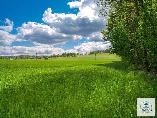 Ausblick zur Goetzinger Hoehe