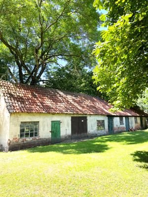 Schuppen