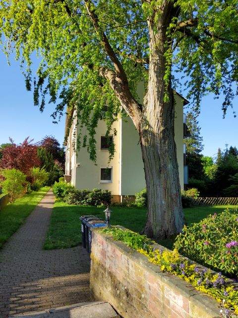 Celle Wohnungen, Celle Wohnung kaufen