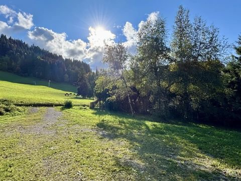 LA CLUSAZ Renditeobjekte, Mehrfamilienhäuser, Geschäftshäuser, Kapitalanlage