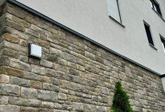 20250603 BUL EF (2).jpg