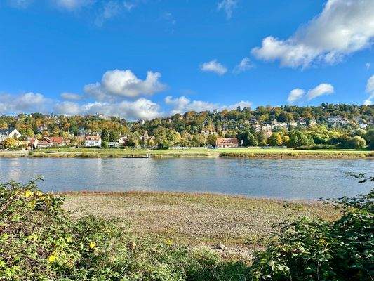 Grundstück geht direkt bis an die Elbe
