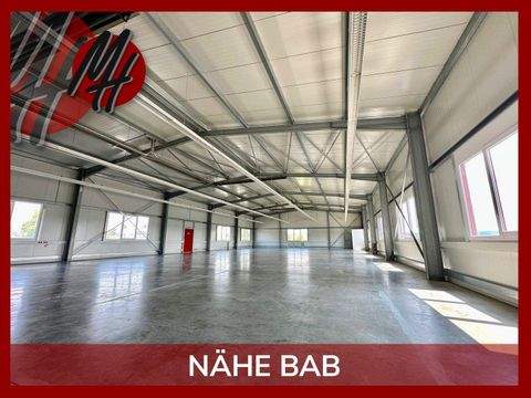 Idstein Halle, Idstein Hallenfläche