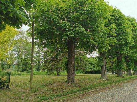 Lübow Grundstücke, Lübow Grundstück kaufen