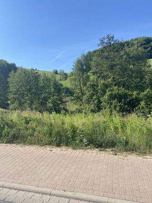 Blick von der Straße 