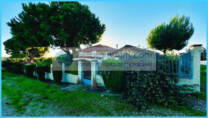 6697f1a425b6407986e19604ffdb2f16-original