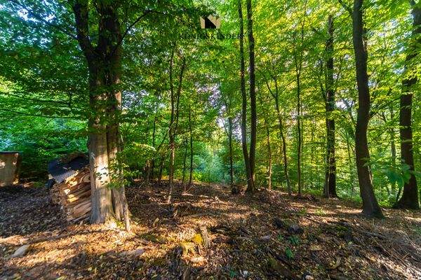 Grundstücksumgebung