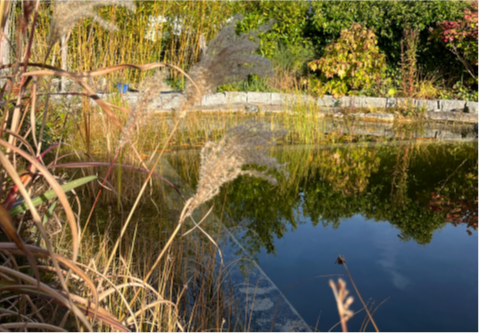 Schwimmteich