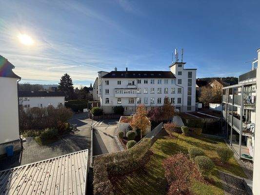 2025-11-07 14.09.32.JPG