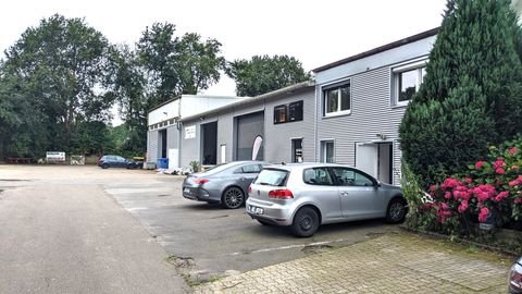 Rosengarten Halle, Rosengarten Hallenfläche