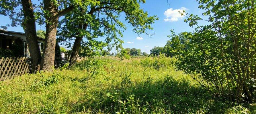 Blick auf das Grundstück