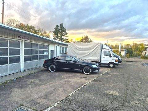 Dettingen Halle, Dettingen Hallenfläche