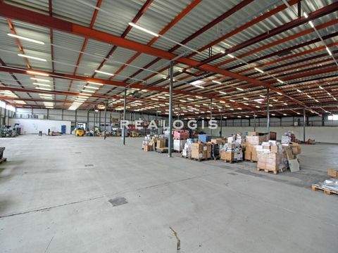 Essen Halle, Essen Hallenfläche