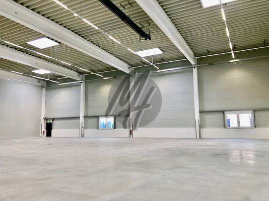 INFOS UNTER: 06171-586000