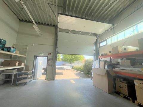 Mülheim Halle, Mülheim Hallenfläche