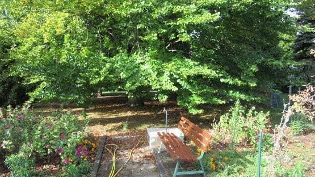 Garten