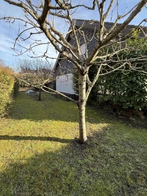 Gartenansicht Nord