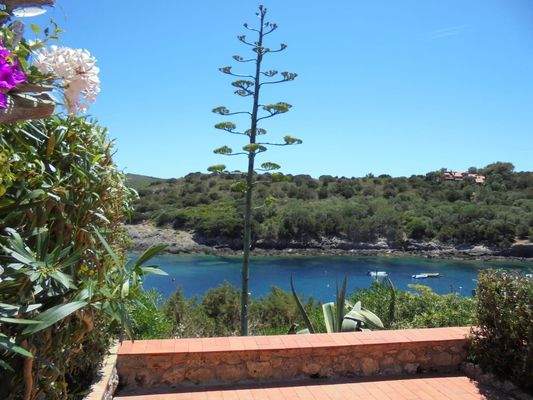 Terrasse Meerblick Insel Giannutri