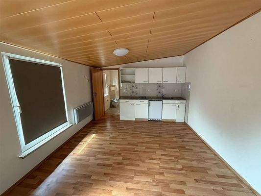 offene Küche mit Wohnbereich im Anbau