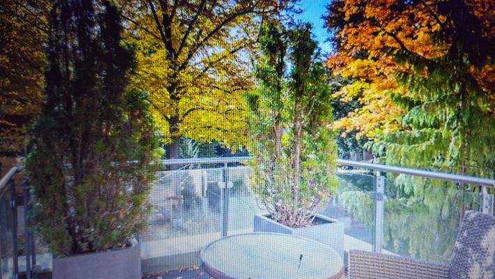 Sonnenplatz am Wellnesraum u. Sauna