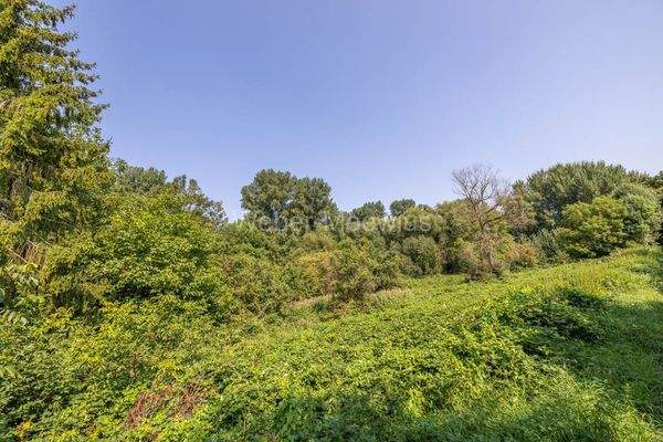 3433 1.283 qm Grünfläche