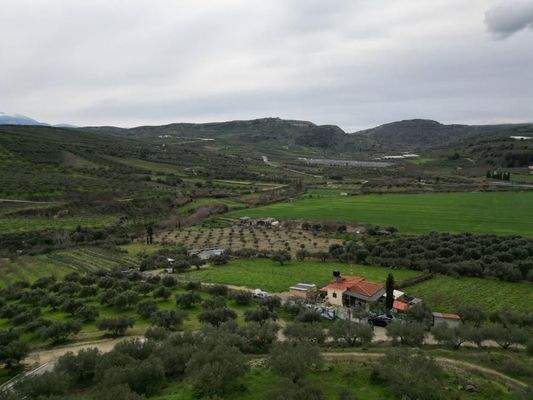 Kreta, Agies Paraskies: Großes Grundstück zu verkaufen