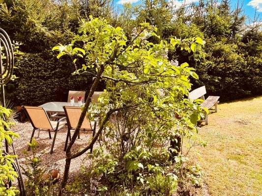 Garten1