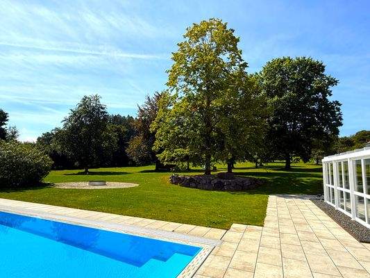 Ein Baumbestand, den nur die Zeit bringt. 