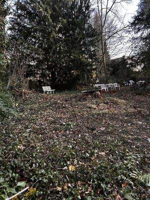 Viel Platz für Gartenträume