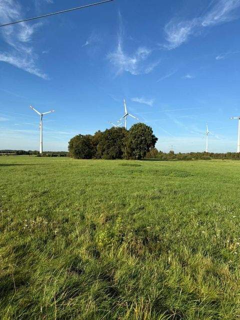 Bramstedt Bauernhöfe, Landwirtschaft, Bramstedt Forstwirtschaft