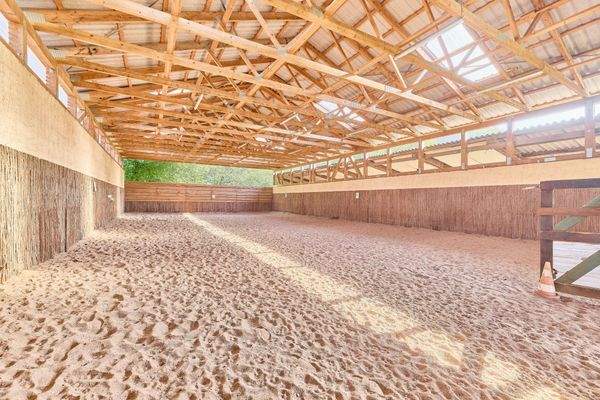 04 Bewegungshalle.jpg