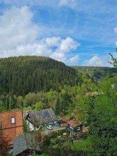 Blick v. Garten oben ins TAL