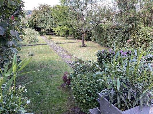 WhatsApp Bild 2025-07-28 um 13.50.54_9704ac39.jpg