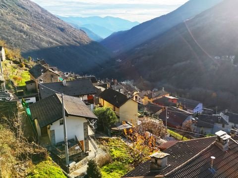 Falmenta Häuser, Falmenta Haus kaufen