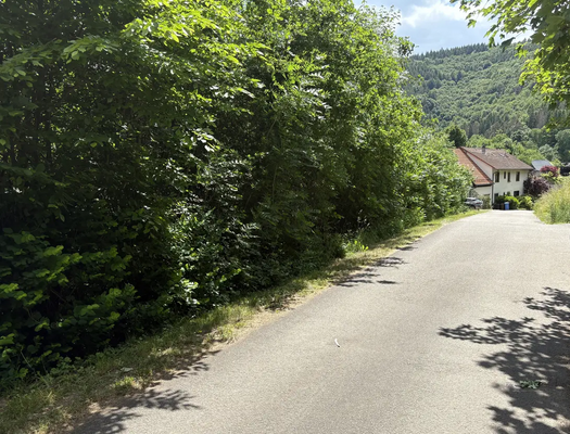 5c94d27a-769e-428d-b243-83023783138a-1907228907