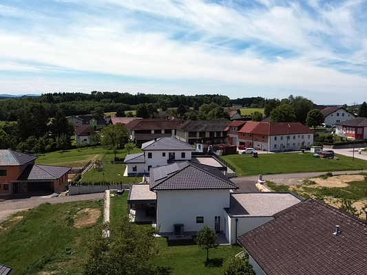 Igelschwang