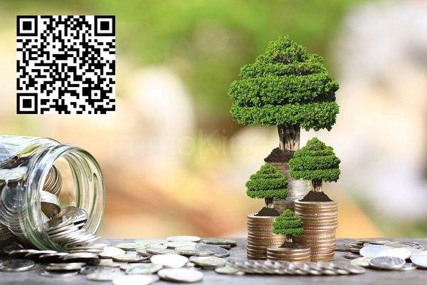 TIPPGEBER PROVISION!! BITTE SCANNEN! 