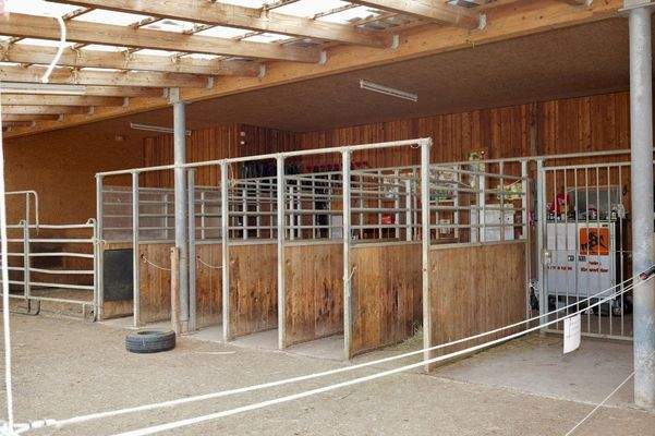 Futterständer Offenstall