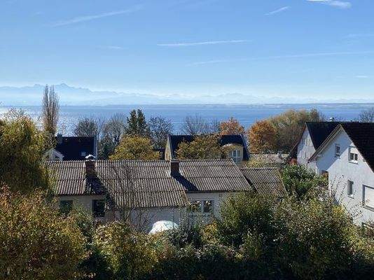 8780ED5A-8438-4C47-80B8-338D1D0D72B7_1_105_c