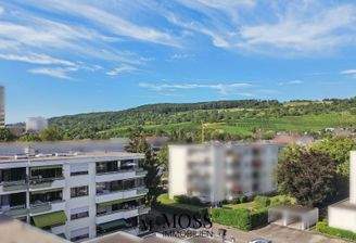 Viel Freiheit und ein grosser Abstand zu den umliegenden Gebäuden