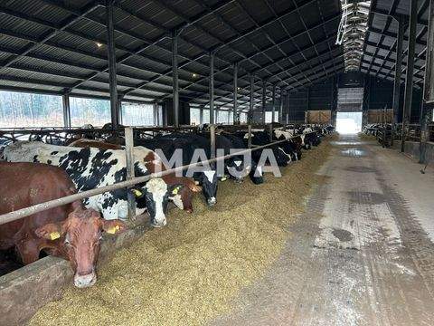 Sigulda Grundstücke, Sigulda Grundstück kaufen