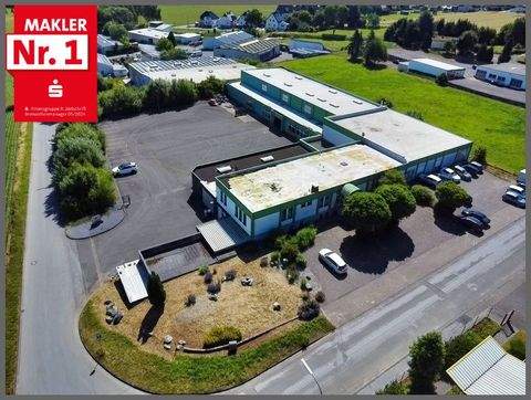 Warstein Halle, Warstein Hallenfläche